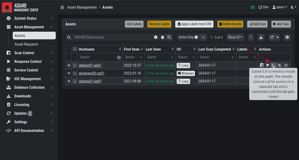 Opening a Remote Console from the Asset View